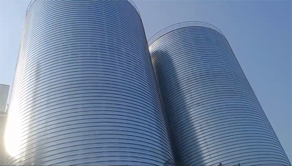 柯城2座混凝土高架卷板仓